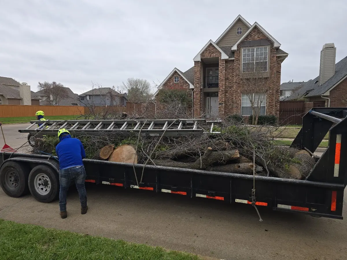 Expert Tree Removal with proper safety equipment in Unionville Center